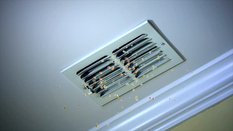 Best Emergency Air Duct Cleaning  in Munhall, PA